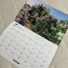 ROYCE' BOYCE ROSE GARDEN 2026年 壁掛けカレンダー花のサムネイル