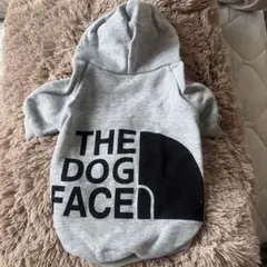 犬用　服のサムネイル