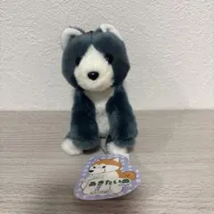 くったりあきたいぬ　LMC　くまごろう　秋田犬ぬいぐるみのサムネイル