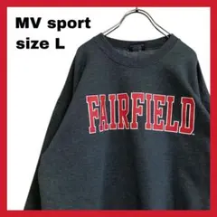 最終値下げ✨ ヴィンテージ トレーナー メンズ L グレー シンプル プリント