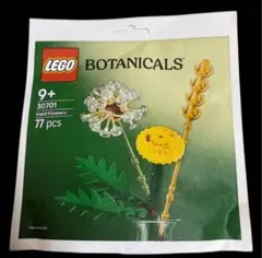 Item thumbnail for item e4b70785-b460-4b23-bcb4-742e50f9921c