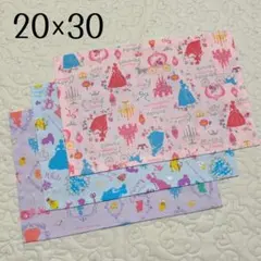 ランチョンマット 20×30 3枚セット プリンセス柄　お姫様　女の子用