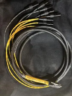 Item thumbnail for item ea980825-6a38-4976-8a73-9d51a332ca50