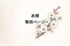 あ様　専用オーダーページ