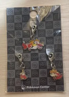 ポケモンセンター 全国ずかんメタルチャーム ホゲータ進化セット