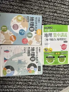 村瀬のゼロからわかる地理B 2冊セット - メルカリ