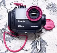 ジャンク】OLYMPUS 防水プロテクター PT-059 - メルカリ