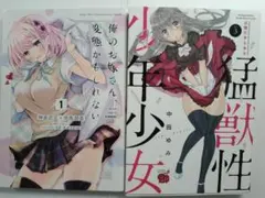 オススメ！コミック2冊セット　俺のお嫁さん他　送料込み