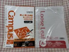 Item thumbnail for item 1a261038-b0f5-40d3-8faa-4bf51490a4c5