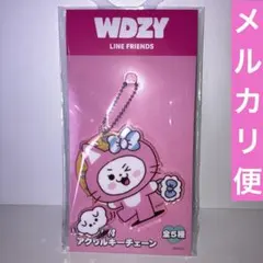 WDZY 未開封 スタンド付アクリルキーチェーン