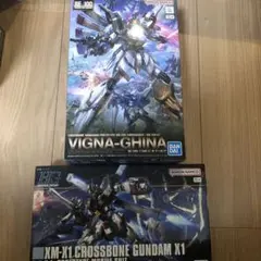 RE/100 ビギナギナ HG クロスボーンガンダム X1 - メルカリ