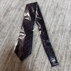 JUNCHINO ネクタイ　ジュンココシノ
