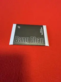 StrayKidsEXHIBITIONアーカイブフォトカードセットバンチャン5枚