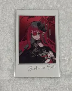 2026年最新】ポートレイト バーヴァンシーの人気アイテム - メルカリ