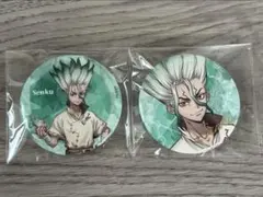 Dr.STONE 石神 千空 缶バッジ レイニーデイ 読書の秋 Book型 - メルカリ