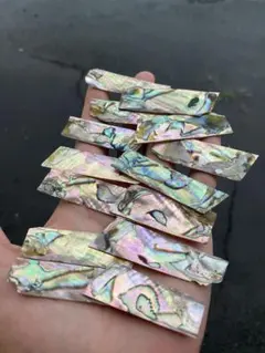 アワビ貝　沖縄県のアワビ貝　22枚セット　螺鈿細工　ハンドメイド　素材