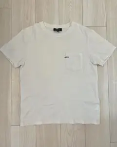 Item thumbnail for item 35e4e302-6fff-4d2b-8118-5f3b6c3fe772