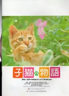 【パンフレット】 子猫物語