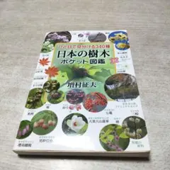 まめ様 リクエスト 2点 まとめ商品