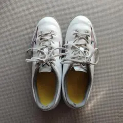 Mizuno ALPHA　23.5cm