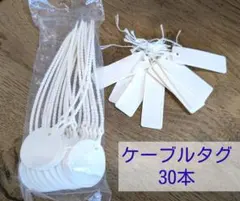 ケーブルタグ 30本のサムネイル