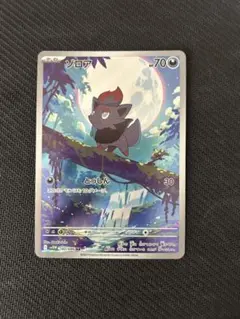 ポケモンカード ゾロアar