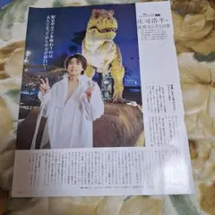 Item thumbnail for item 90c6b273-aef1-447d-90e3-fa0ba554648a