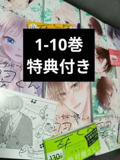 お姉ちゃんの翠くん 1-10 全巻 帯、特典付き！ 少女漫画 美品 即購入️❌