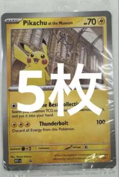 Pikachu at the Museum ピカチュウ ロンドン自然史博物館 - メルカリ