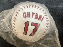 大谷翔平 記念グッズ