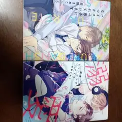 BL漫画2冊まとめ売り 茶野まめこ