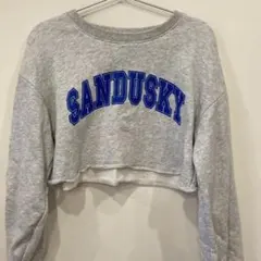 WEGOトレーナー　グレー