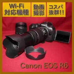 2026年最新】CANON eos r10 ダブルズームキットの人気アイテム - メルカリ