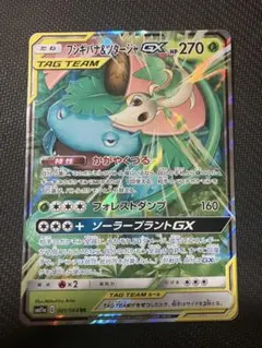 【美品】フシギバナ＆ツタージャGX RR SM11a リミックスバウト