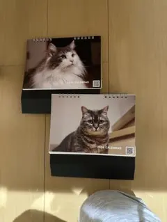 ここあ&こむぎカレンダーセット　Cocoa&Komugi calendarset