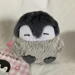 コウペンちゃん　手乗りマスコット　のんびりしよ～