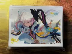 メルトリリス スリーブ fgo fate - メルカリ
