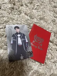 Stray Kids フォトカード トレカ dminATE JAPAN