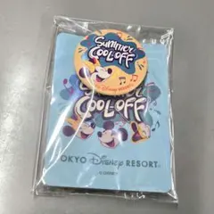 ミニー　缶バッジ　ステッカー　ミセスコラボグッズ