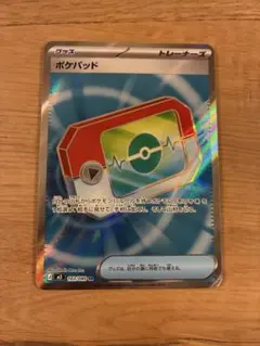 ぴ*ん様 ポケパッド　SR