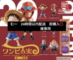 ルフィ　カプセルなし