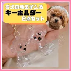 犬モチーフ 透明チャーム キーリング アニマル雑貨　毛玉　ガチャ
