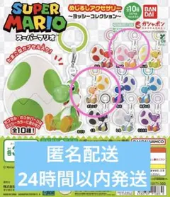 スーパーマリオ めじるしアクセサリー ヨッシー 2種セット　ピンク　オレンジ