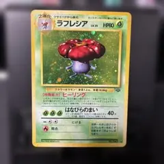 じ*む様 ラフレシア ★ 第2弾拡張パック ポケモンジャングル　渦巻半分
