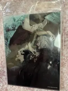 2026年最新】アクリルパネル 終ヴィルの人気アイテム - メルカリ