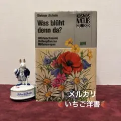 714①1957年チェコ果物図鑑 洋書古書 ジャンクジャーナル素材 ボタン
