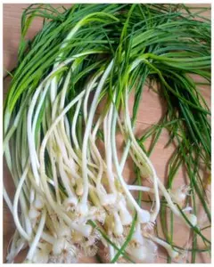 まーぼー様 リクエスト 3点 まとめ商品