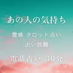 masae01300116さま専用／あの人の気持ち／タロット占い／電話占い30分