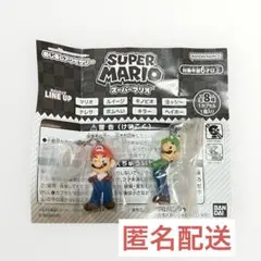 スーパーマリオ めじるしアクセサリー マリオ&ルイージ