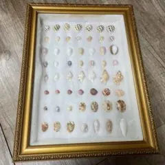 Item thumbnail for item 62446814-82c1-46e0-8b5b-0cdb28c57288